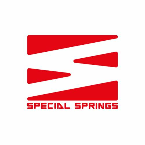 SPECIAL SPRINGS